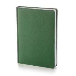 Ежедневник "LEADER" А5 датированный, зеленый